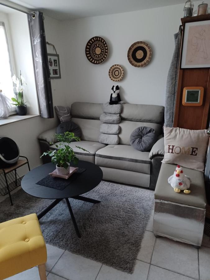 Chez L'Habitante Anita Apartment Plerin Luaran gambar